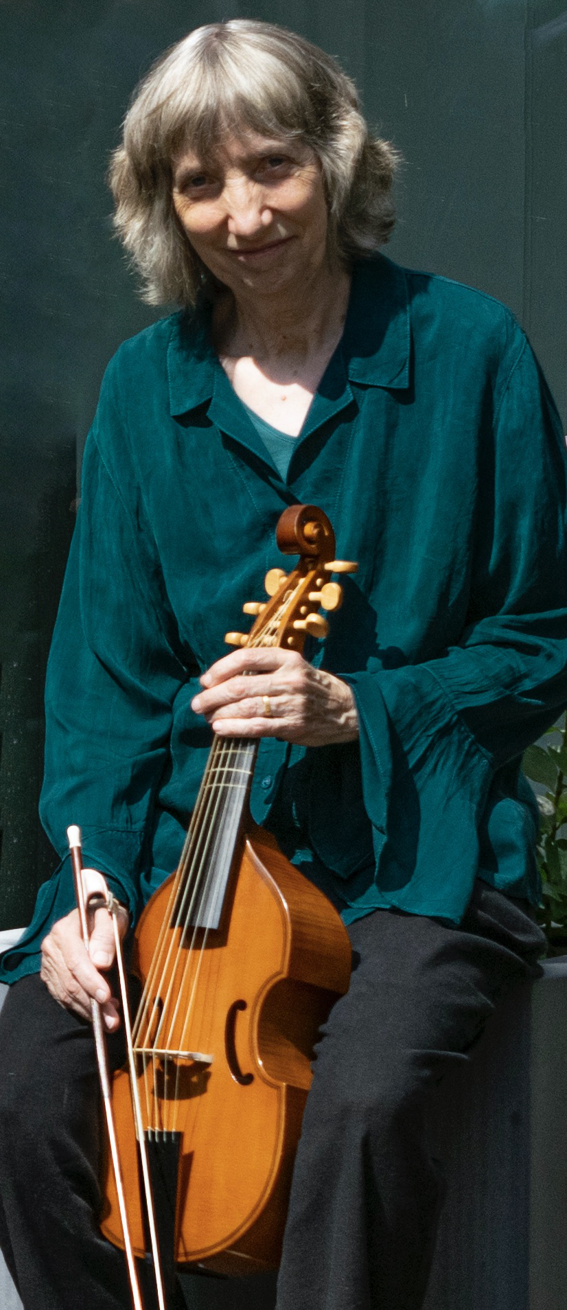 alison crum - viol teacher and performer music